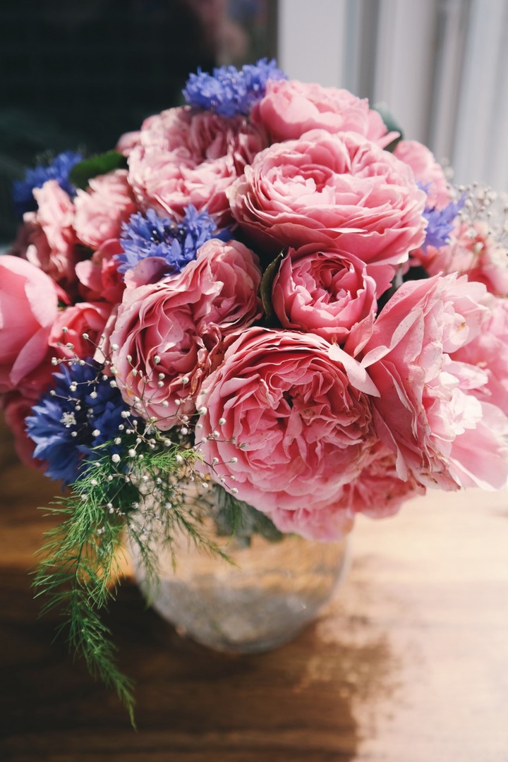 Roses