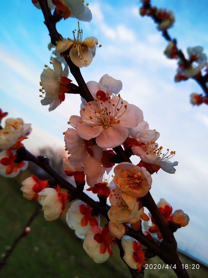 Spring