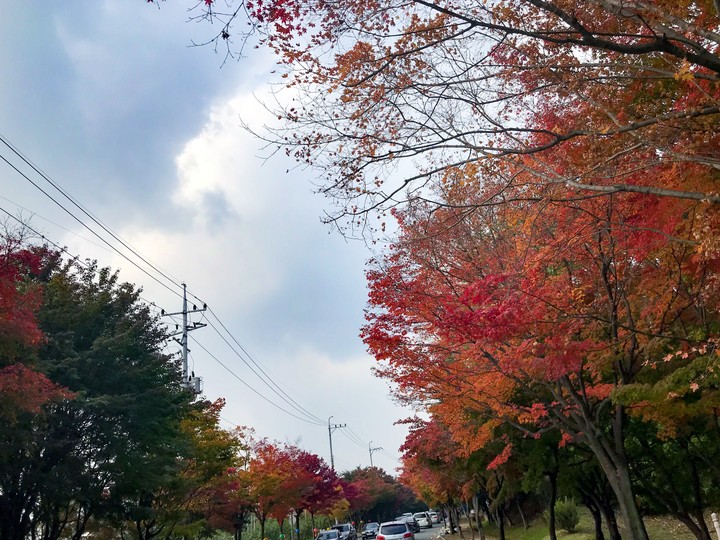 autumn