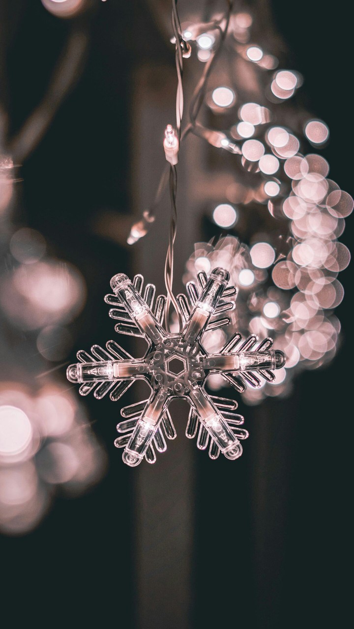 ♦Christmas ♦