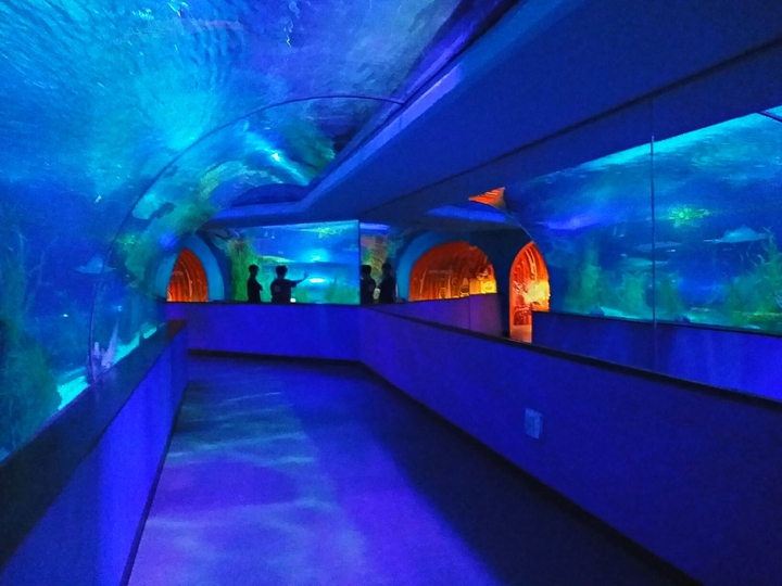 aquarium