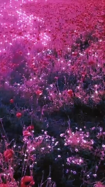 Flores Glitter