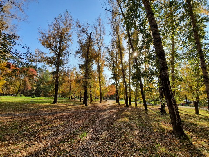 Autumn