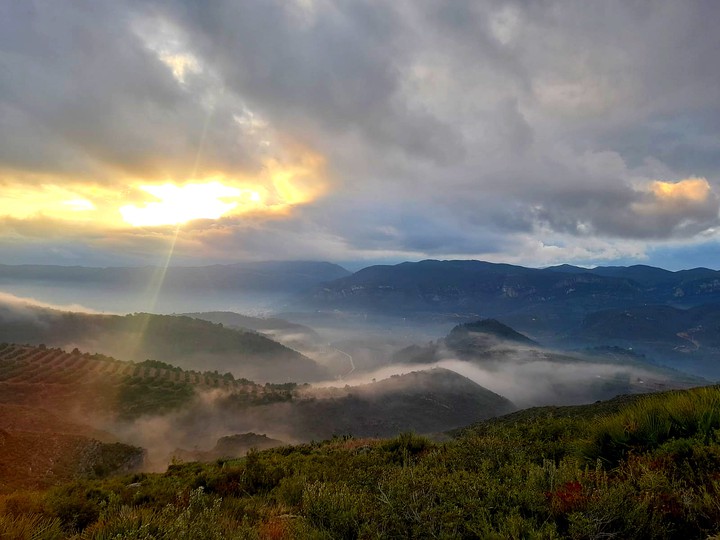 Nature's Beauty