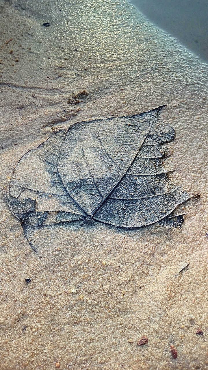 nature photography
