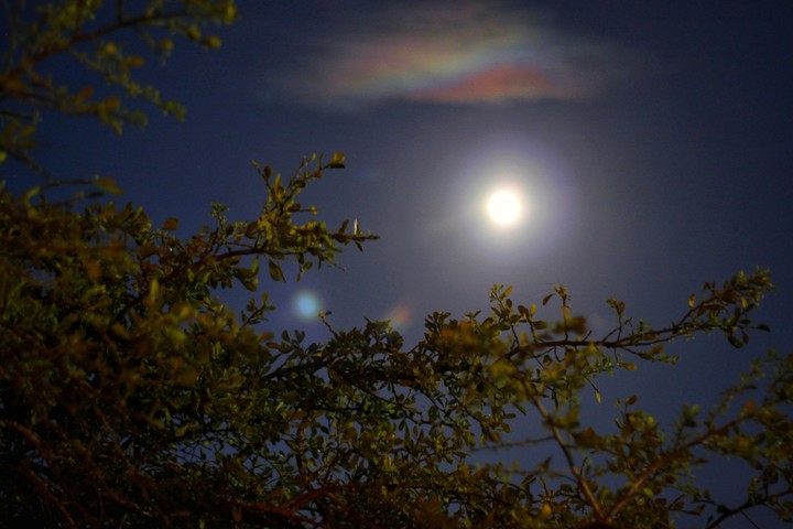 Moonlight
