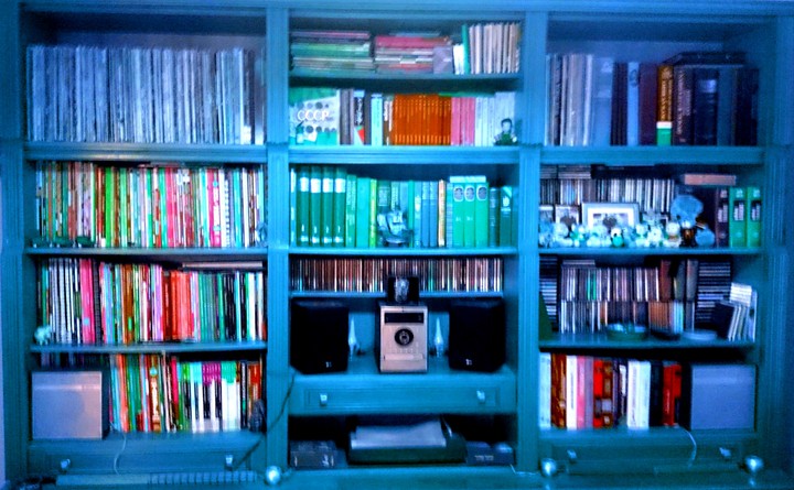 COLORFUL BOOKCASE