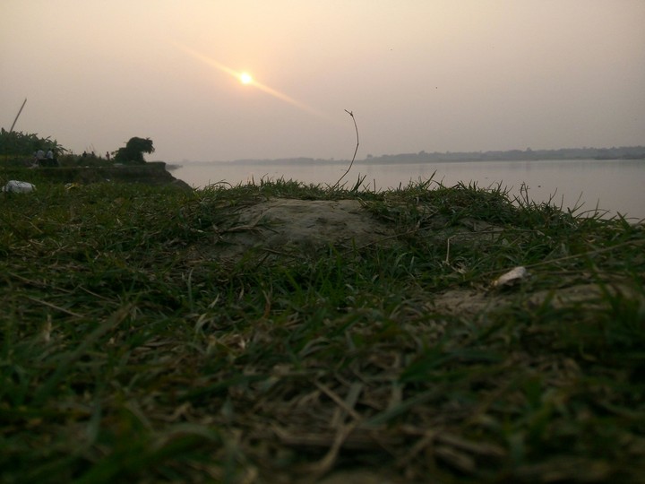 sun & grass