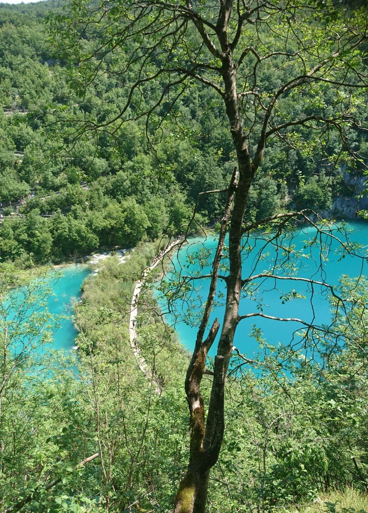 More water