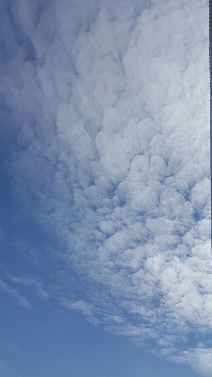skies
