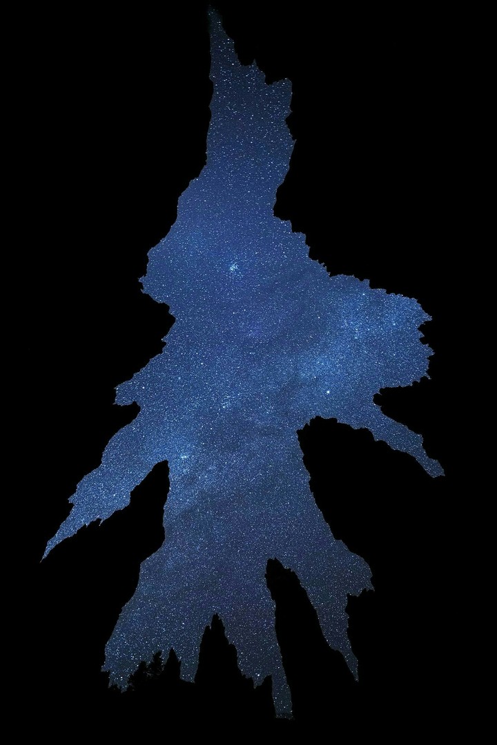 The stars above