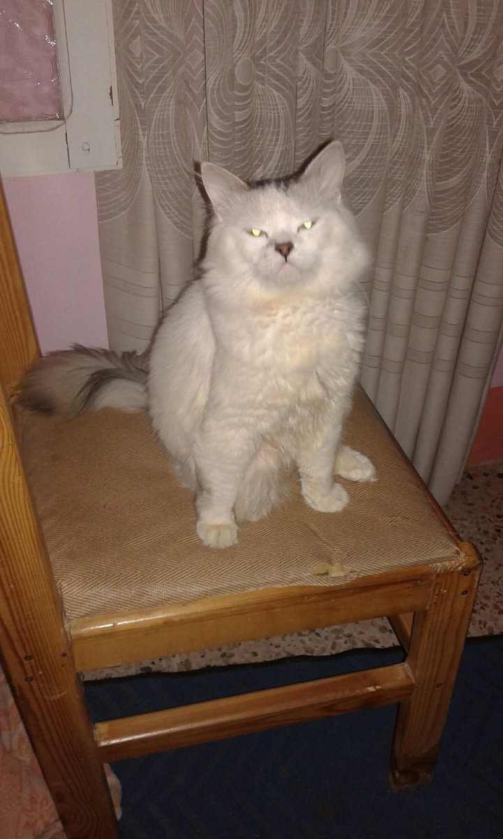 Nouna
