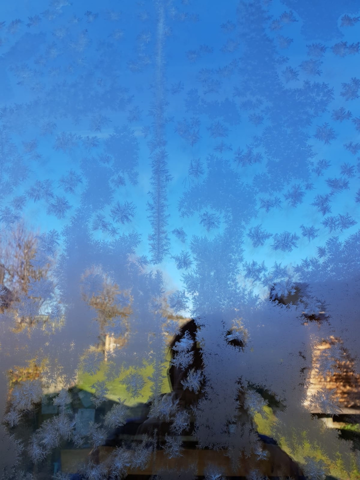 Eisblume