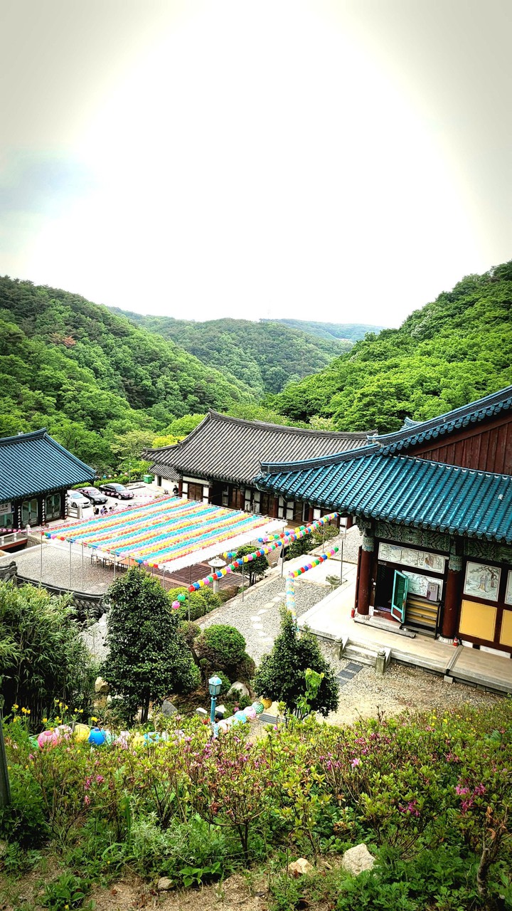 울산 신흥사