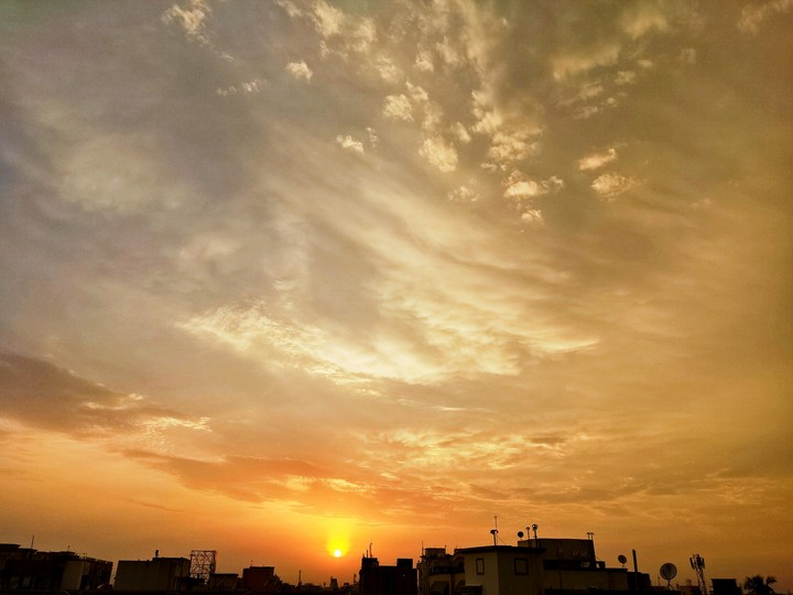 Evening Glory