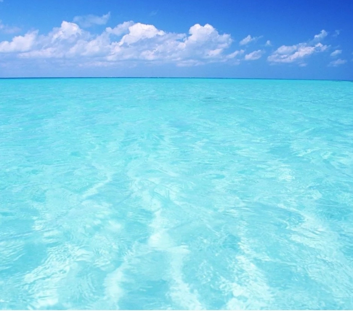 sea