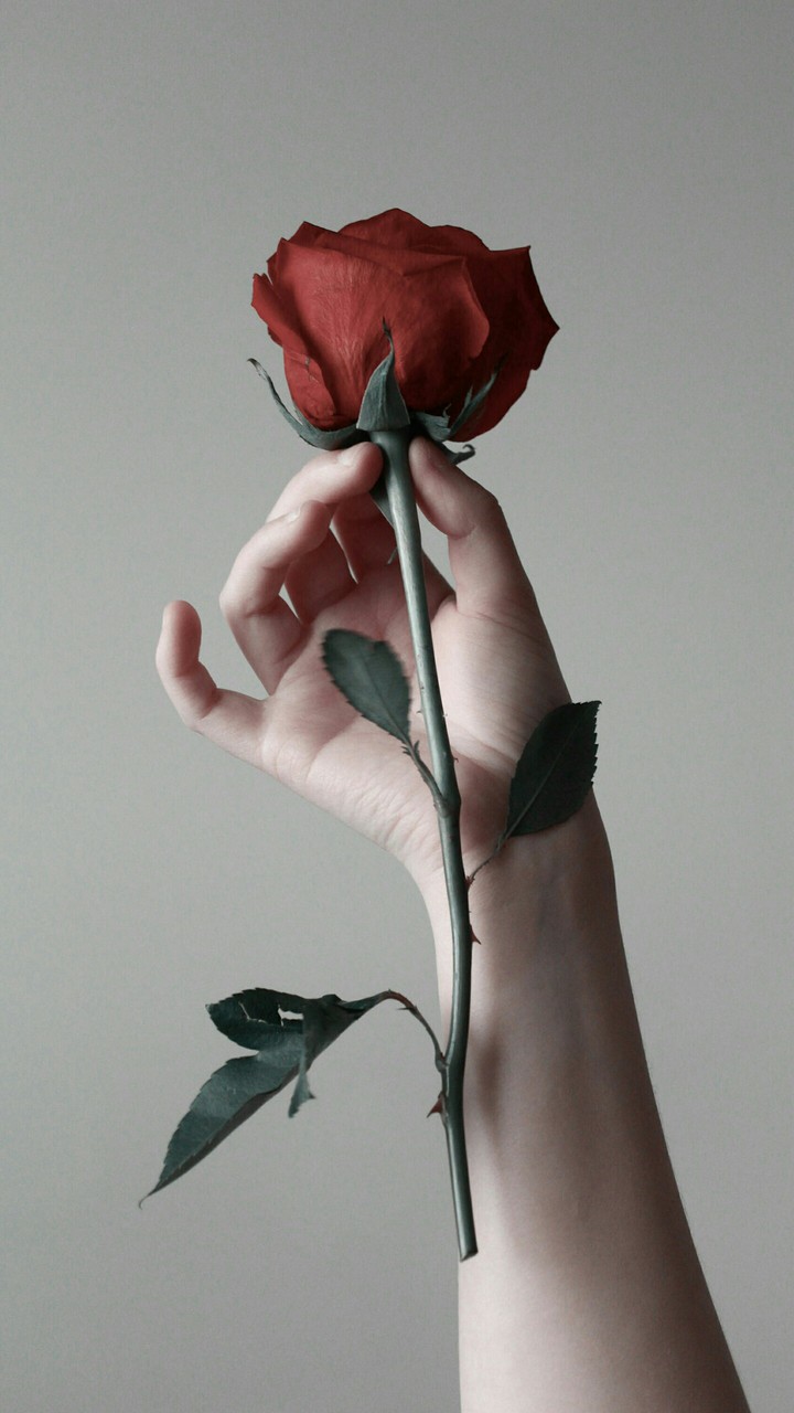 For You My Friends ❤️