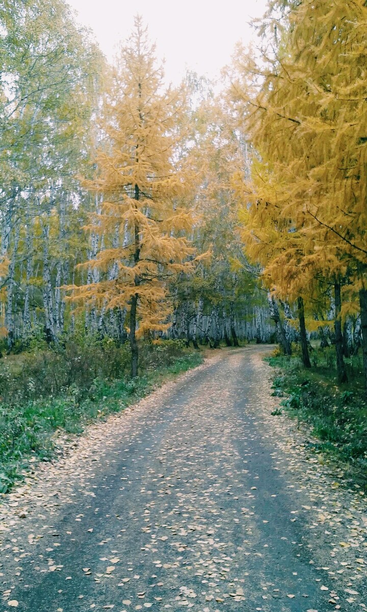 осееень