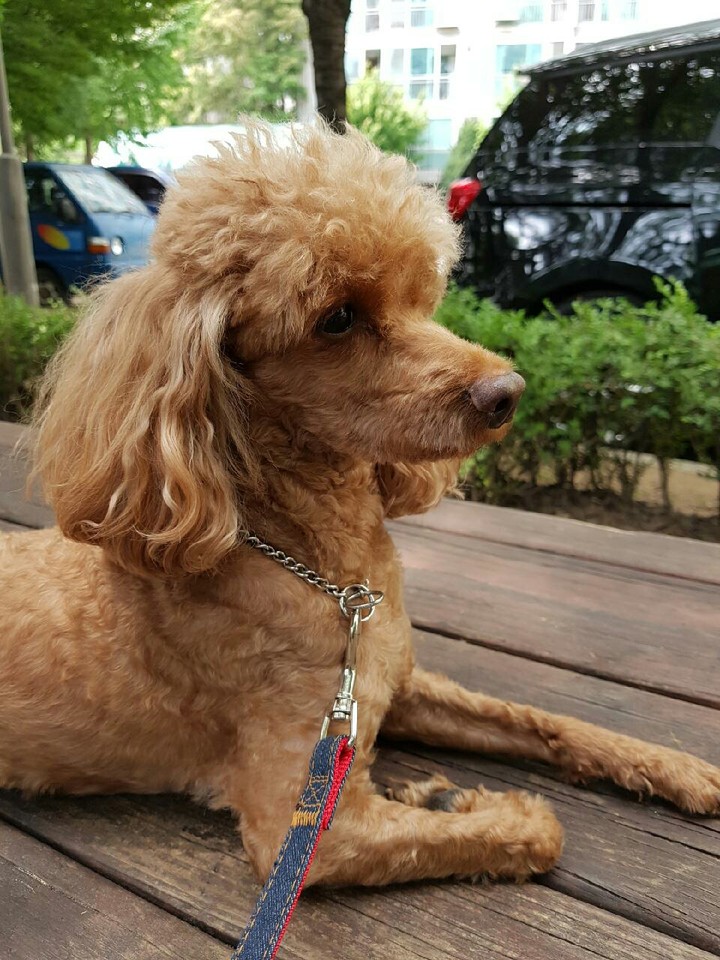 초롱이♡