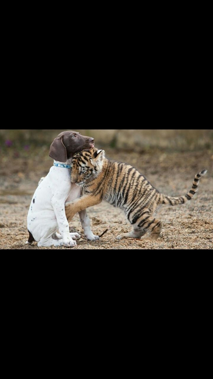 Friends For ever
