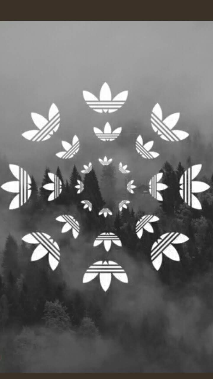 bw adidas sky