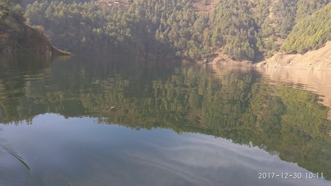 reflection