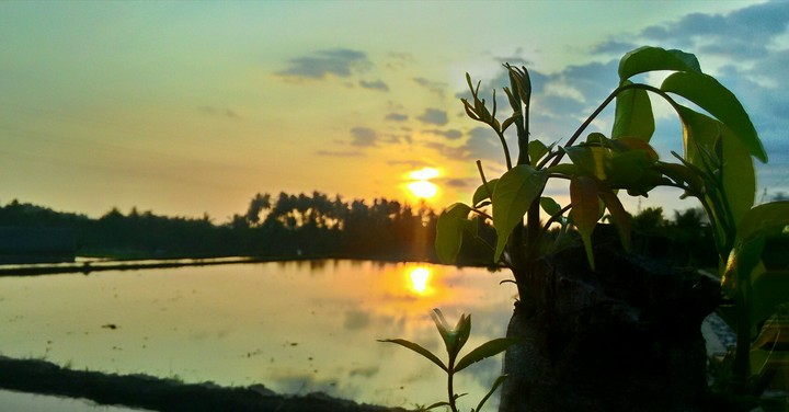 sunset