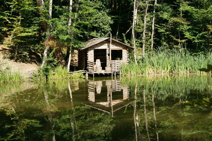 home sweet home