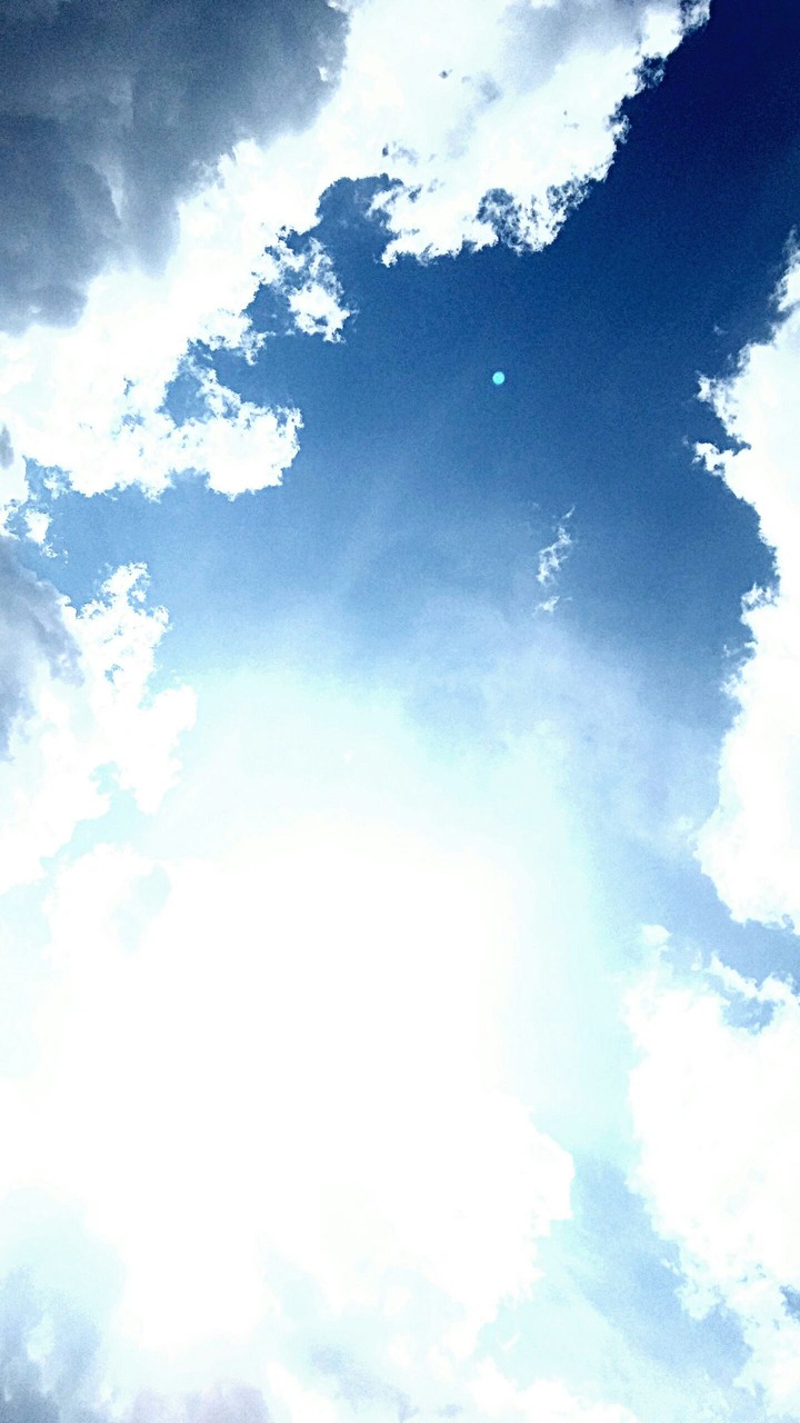 sky has life 