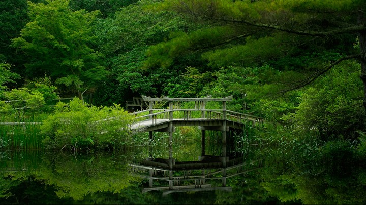 Lake Forest Bridge