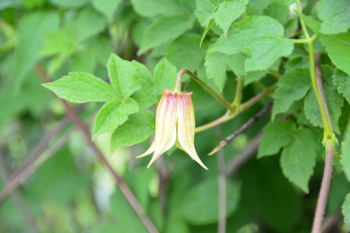 용문산이미지