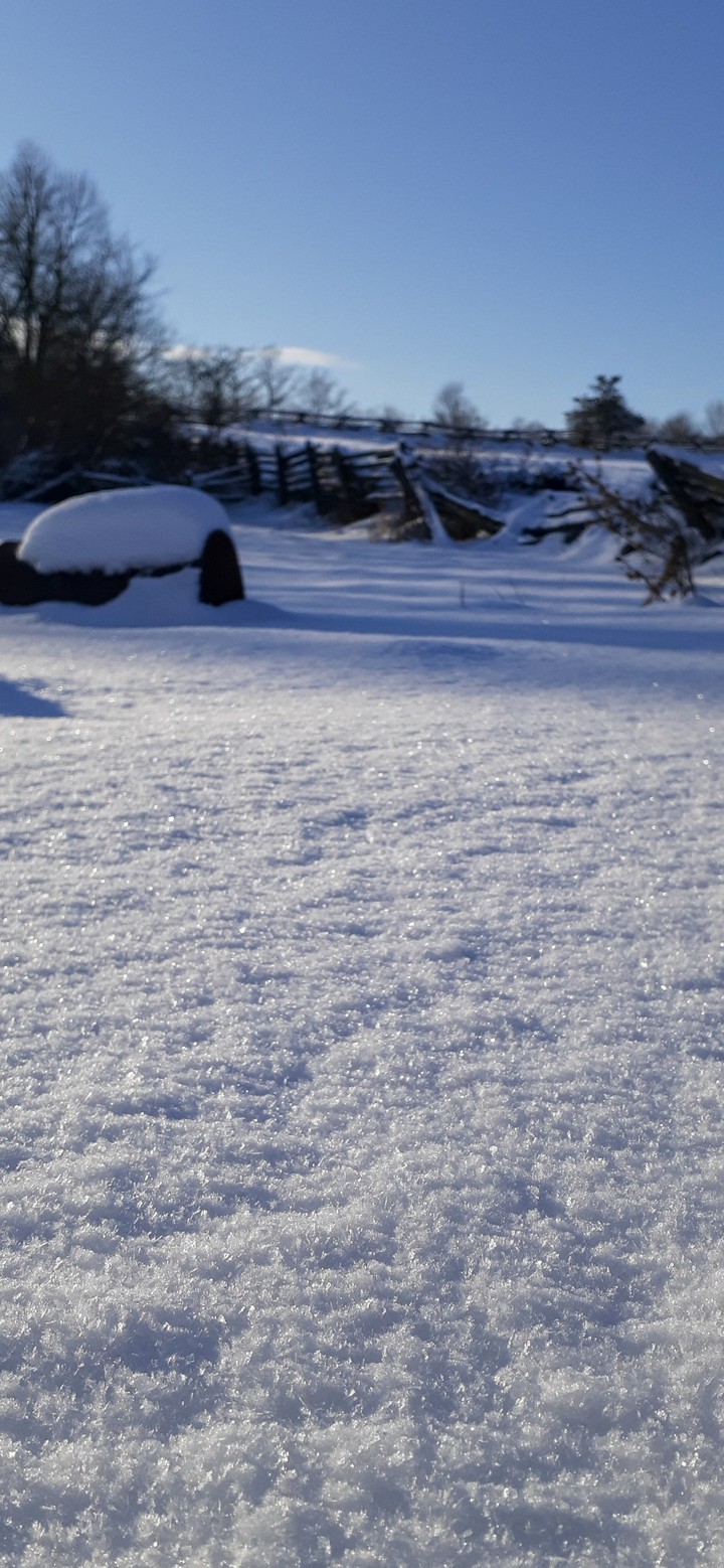 Sparkling snow