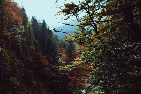 Autumn