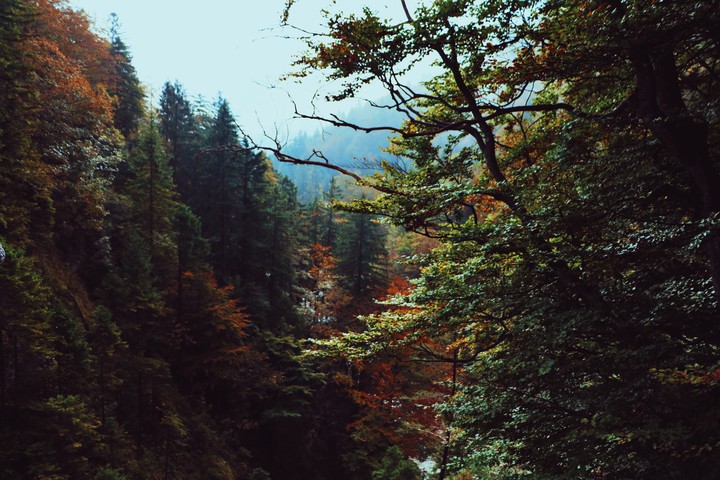 Autumn