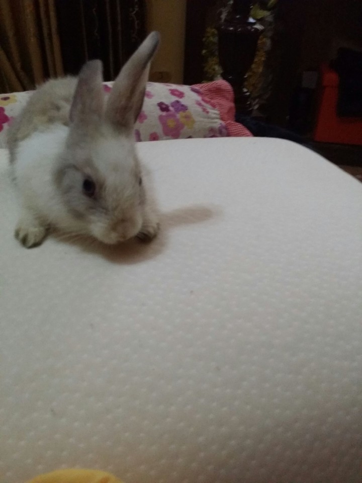Que lindo