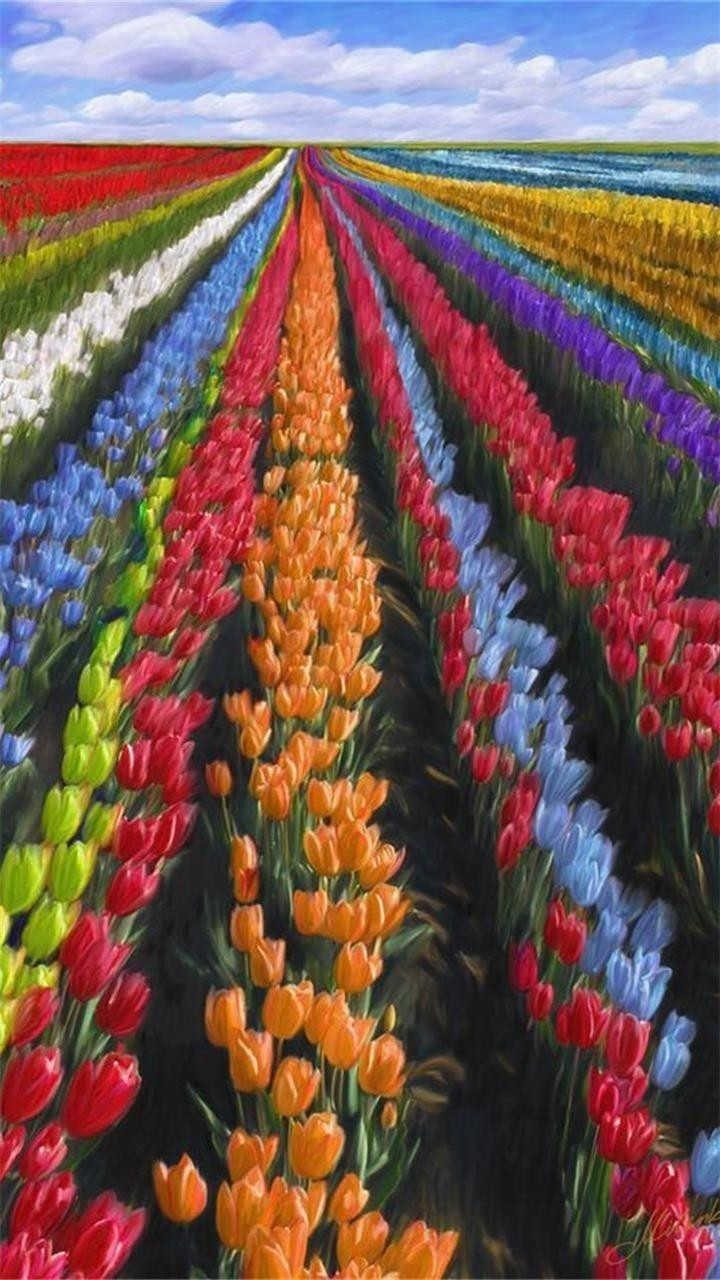 Marvelous Nature
