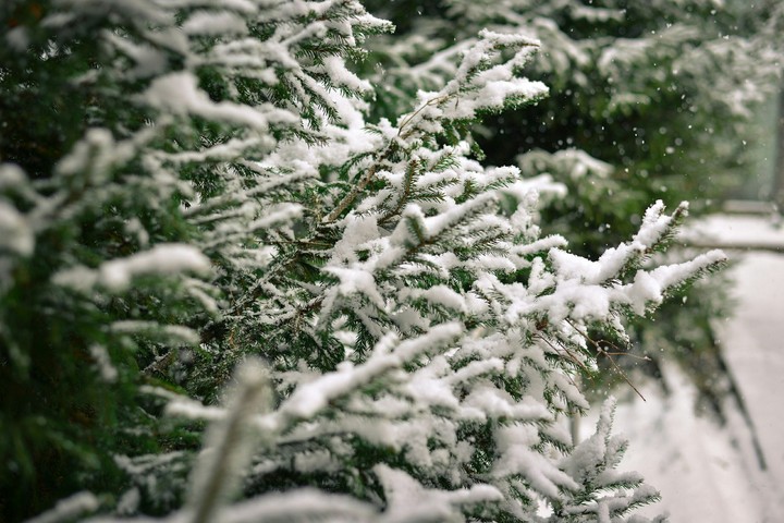 winter