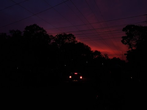 bleed pink - sunset