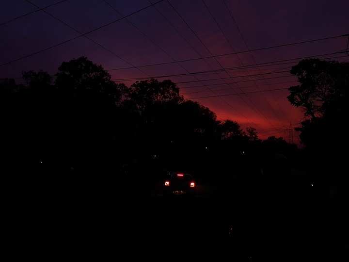 bleed pink - sunset