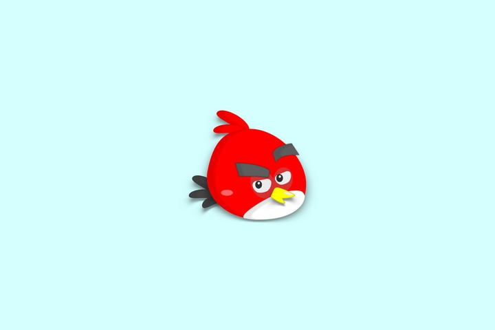 angry bird