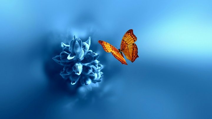 Blue