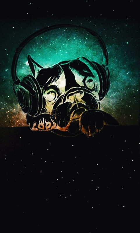 The sky-galaxy dog✨