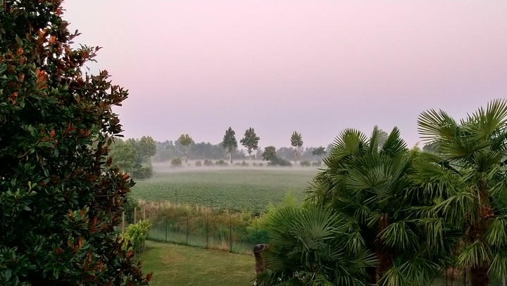 sunday morning