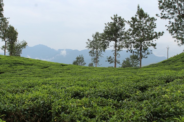 god's own country kerala