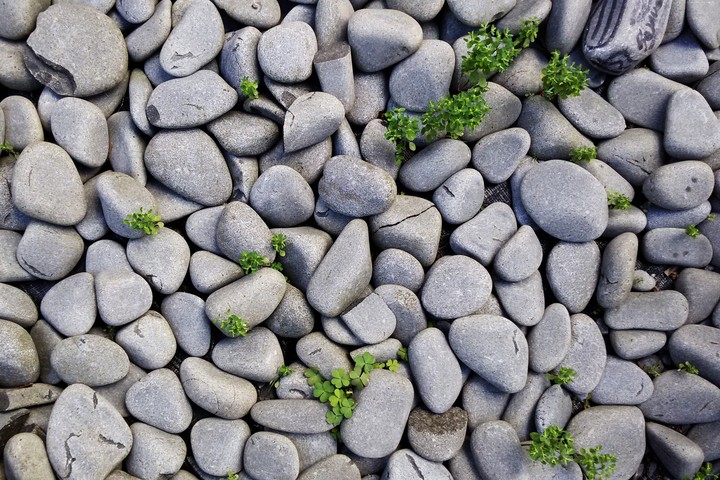 Stones texture