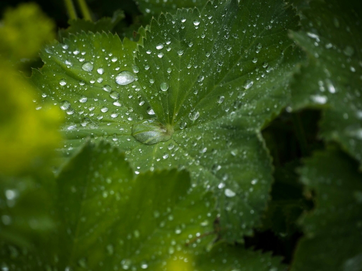 waterdrop