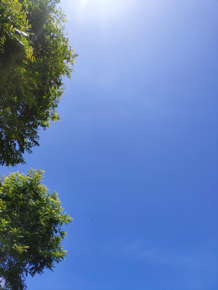 sky