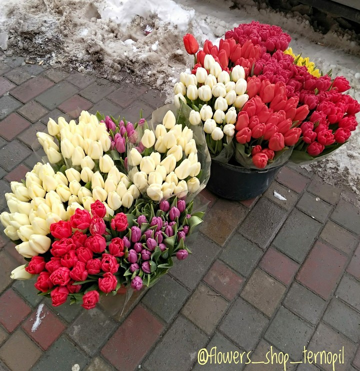 flowers