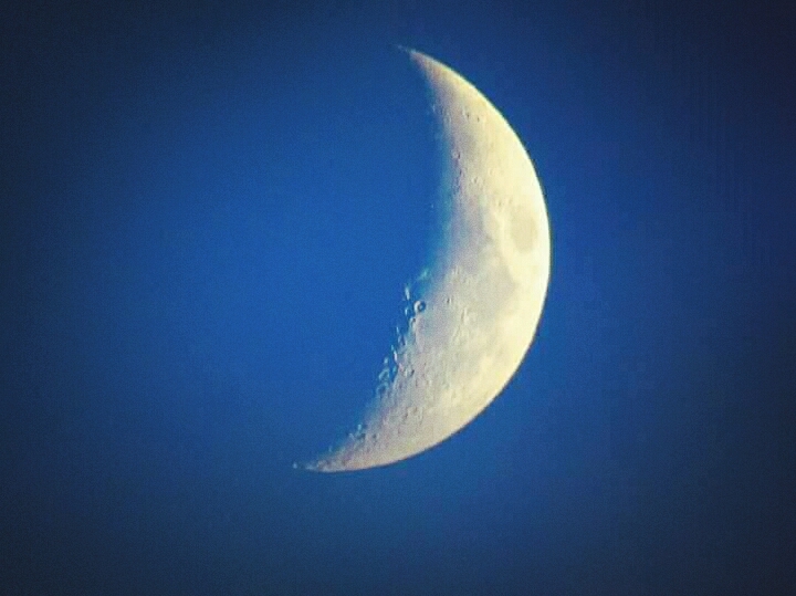 White Moon