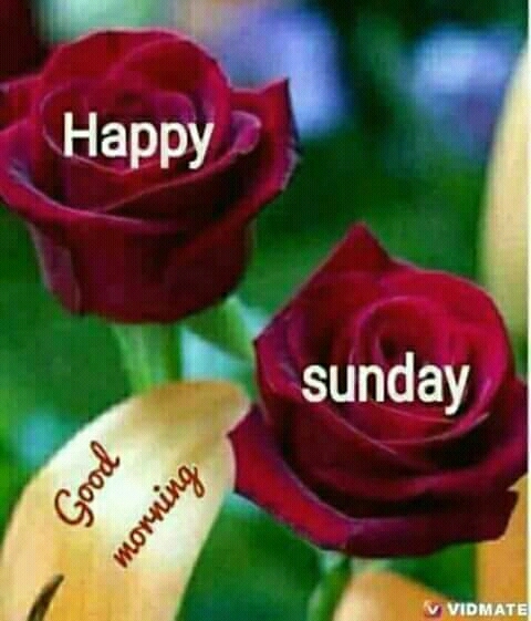 sunday